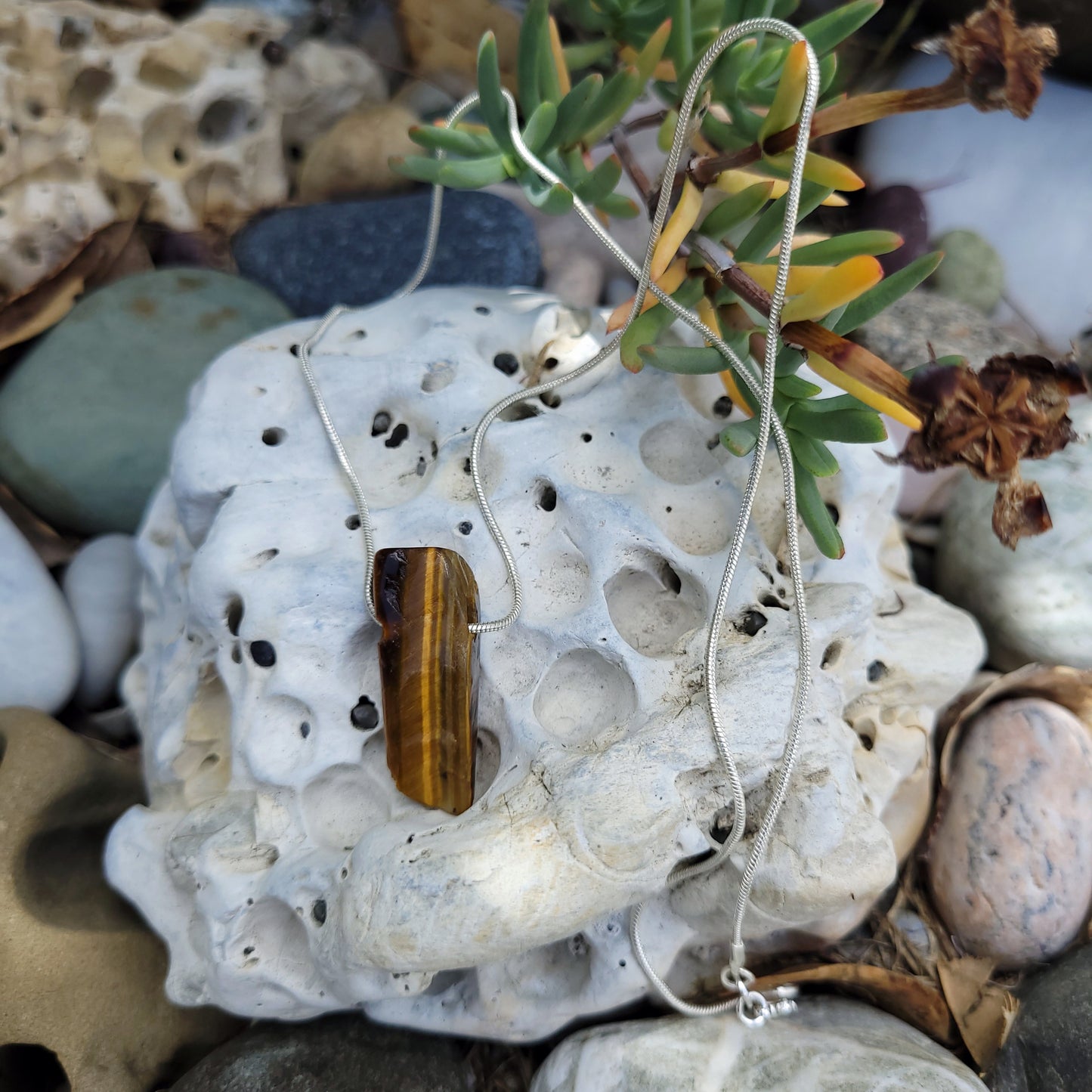 Brown Tiger Eye Slice crystal & silver chain necklace