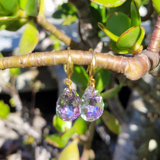 Purple Crystal & Gold Earrings