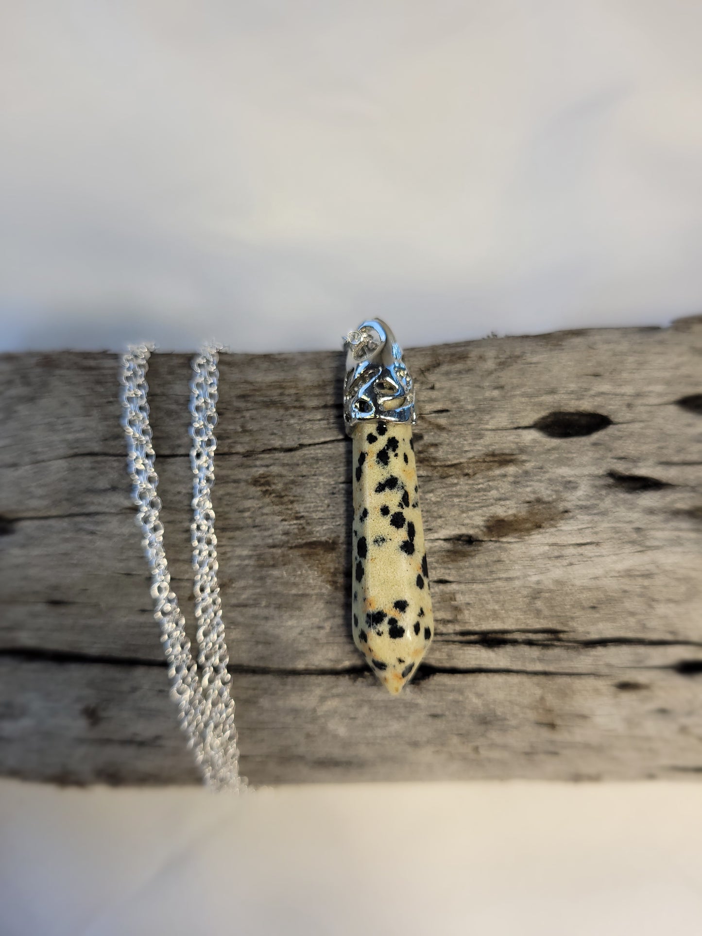 Dalmatian jasper crystal & silver chain necklace